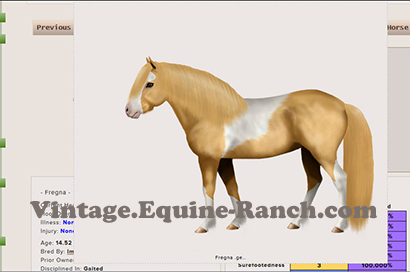 Native pony type art screenshot