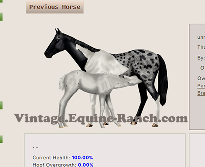 Nursing foal art screenshot