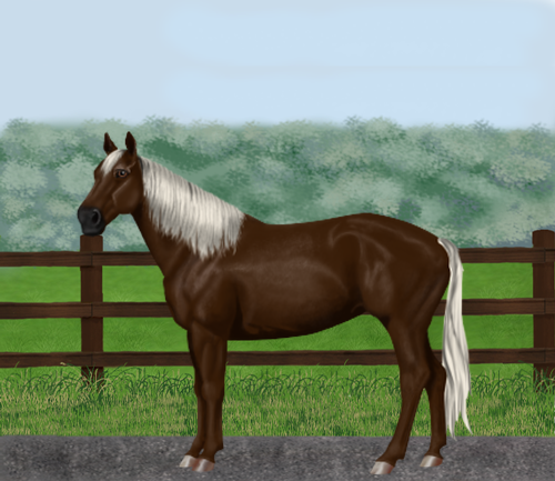 horse image