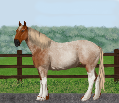 horse image