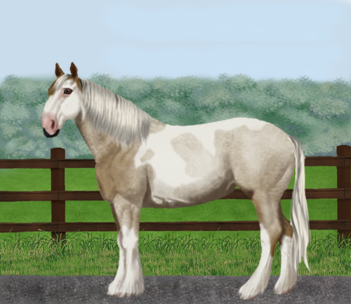 horse image