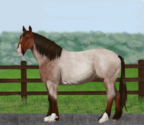 horse image