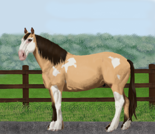 horse image