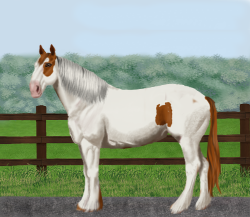 horse image