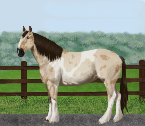 horse image