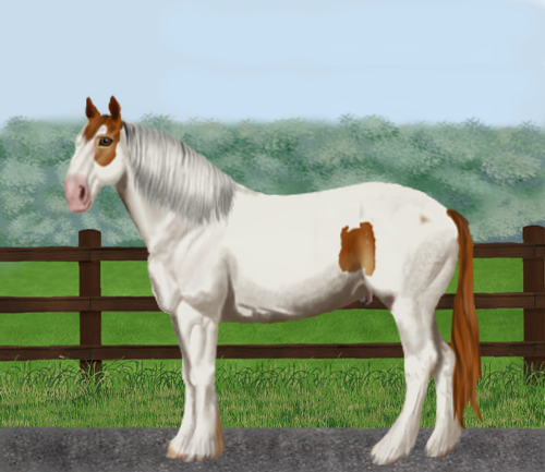 horse image