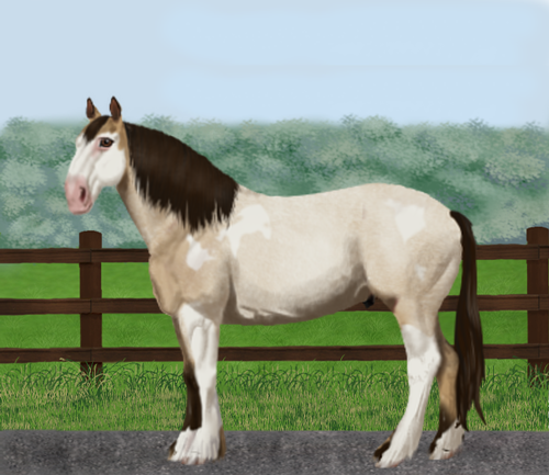 horse image