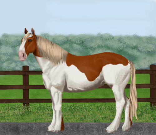 horse image