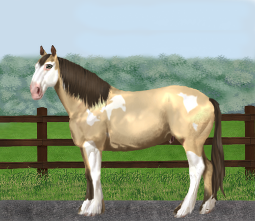 horse image