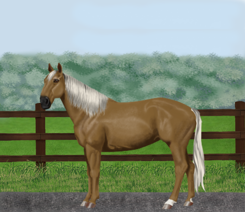 horse image