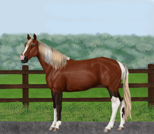 horse image