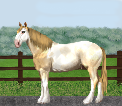 horse image