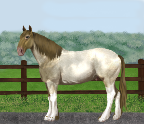 horse image