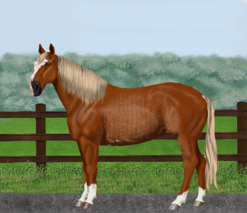 horse image