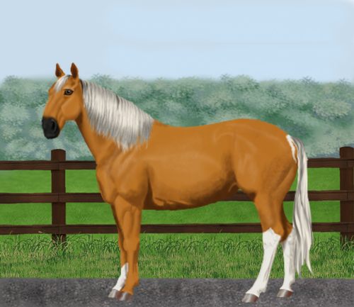 horse image