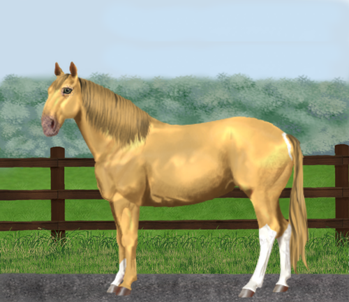 horse image