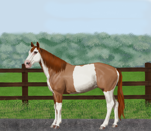 horse image