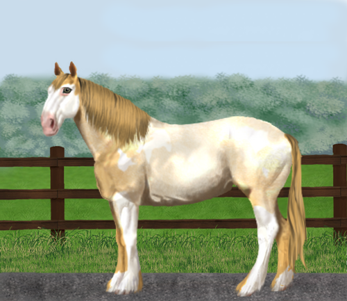 horse image