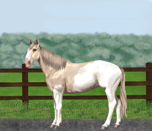 horse image