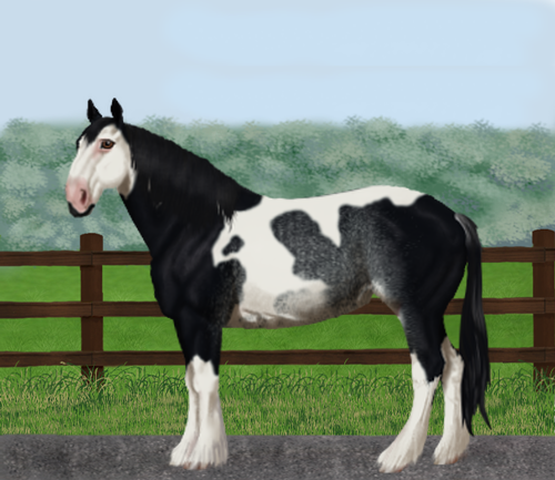 horse image