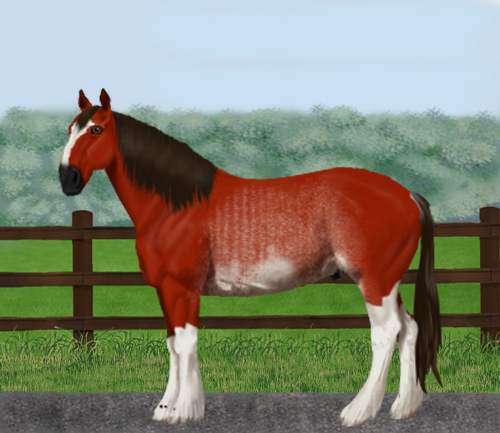 horse image