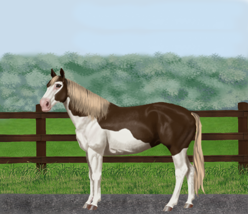 horse image