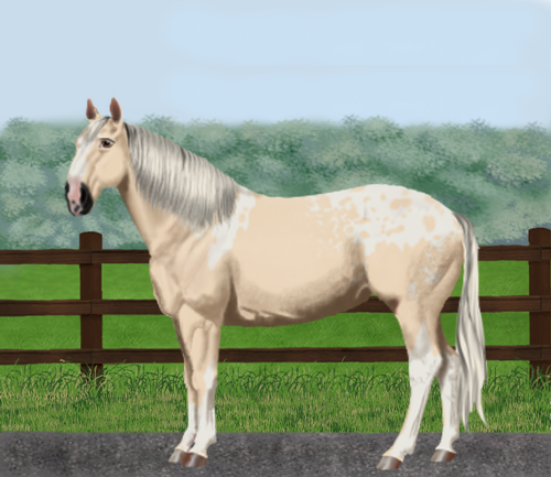 horse image