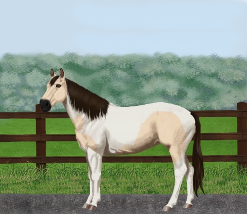 horse image