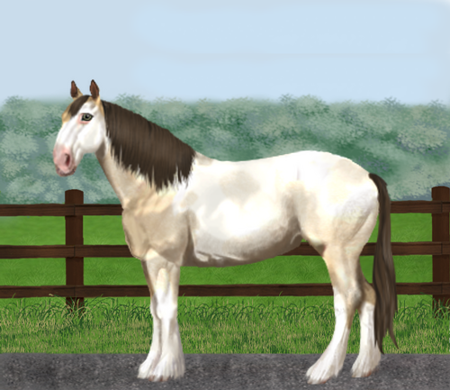 horse image