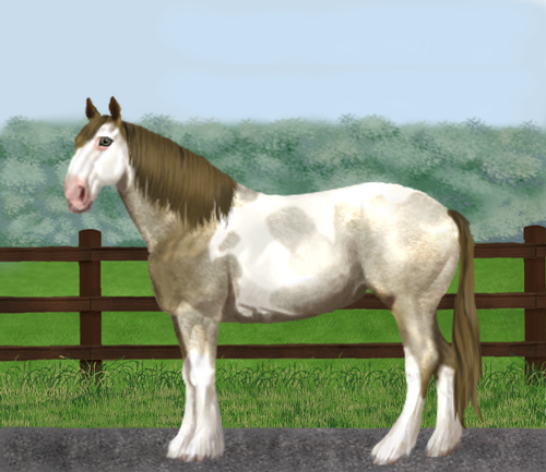 horse image