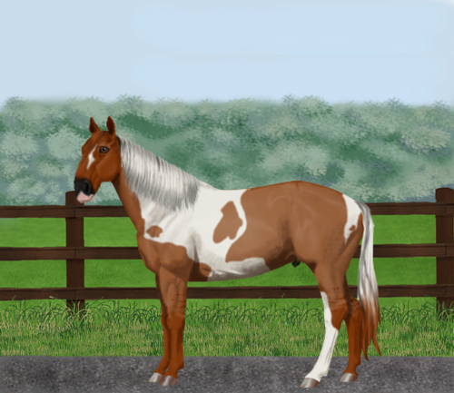 horse image