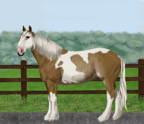 horse image