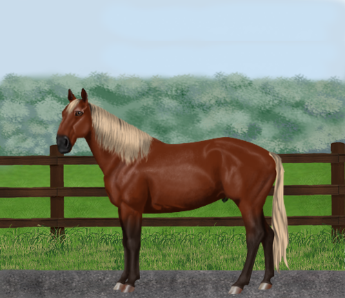 horse image