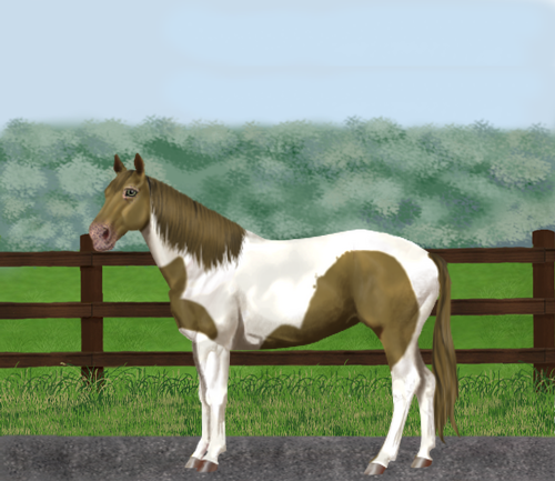 horse image