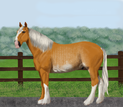 horse image