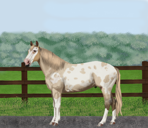 horse image