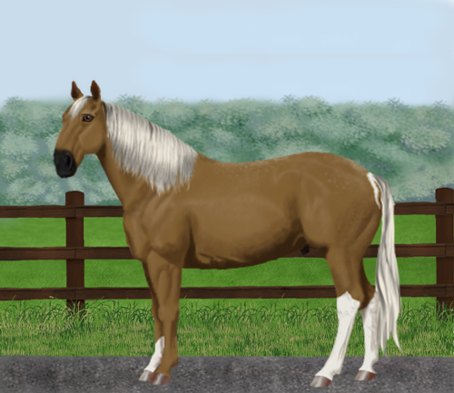 horse image