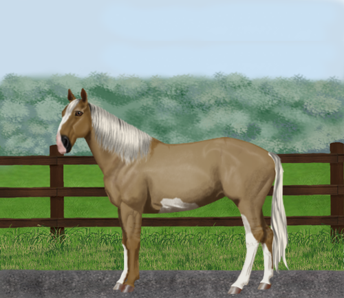 horse image