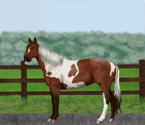 horse image