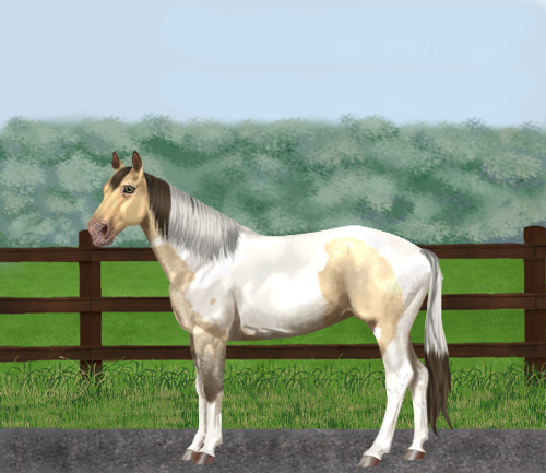 horse image