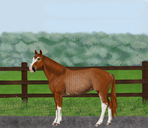 horse image