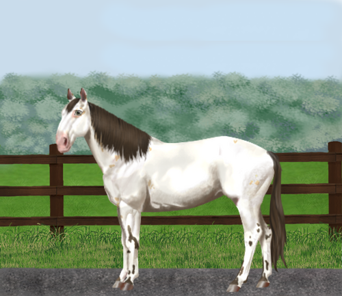 horse image