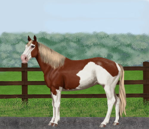 horse image