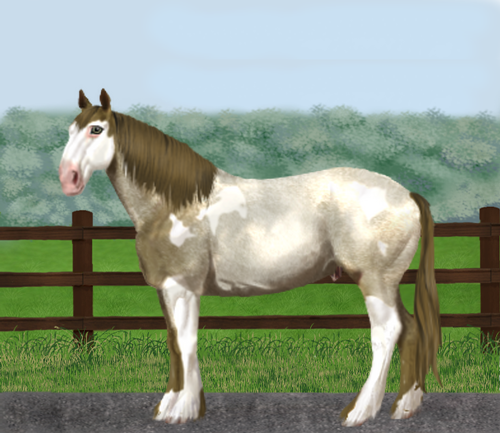 horse image