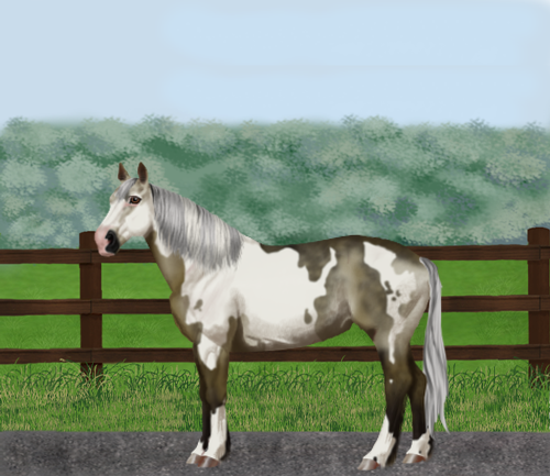 horse image