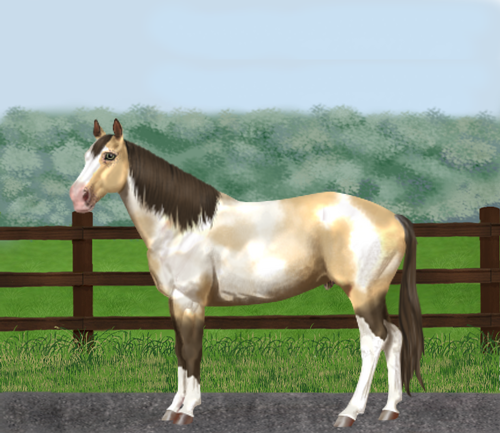 horse image