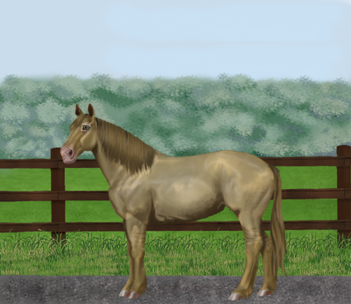 horse image