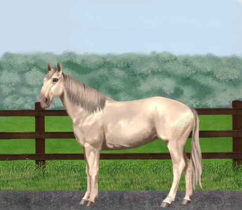 horse image