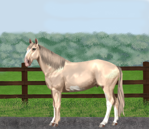 horse image