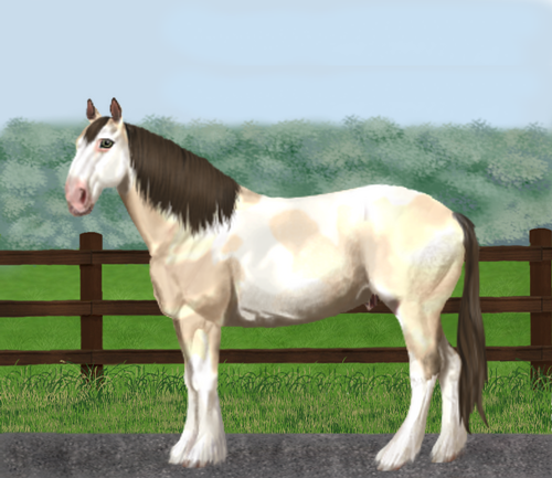 horse image